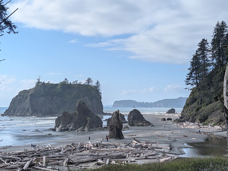 Photo 2 at Olympic National Park in Port Angeles