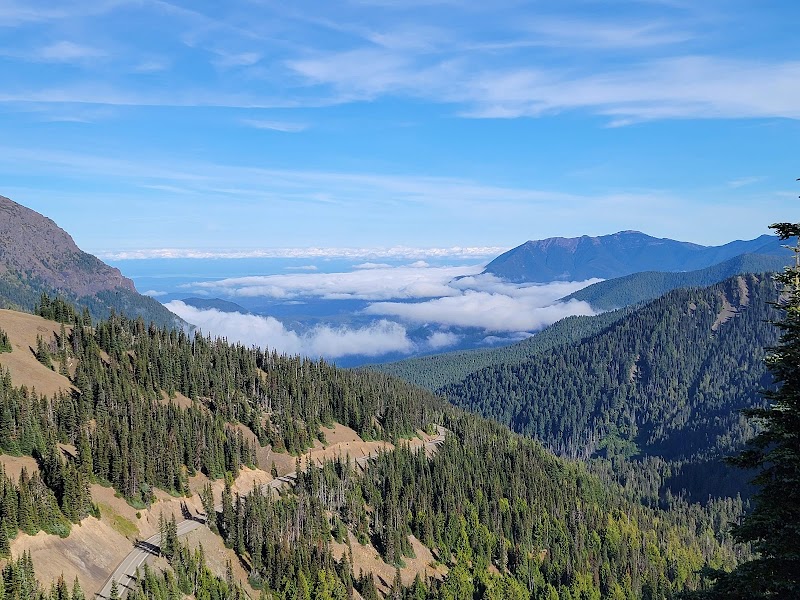 Photo 1 at Olympic National Park in Port Angeles
