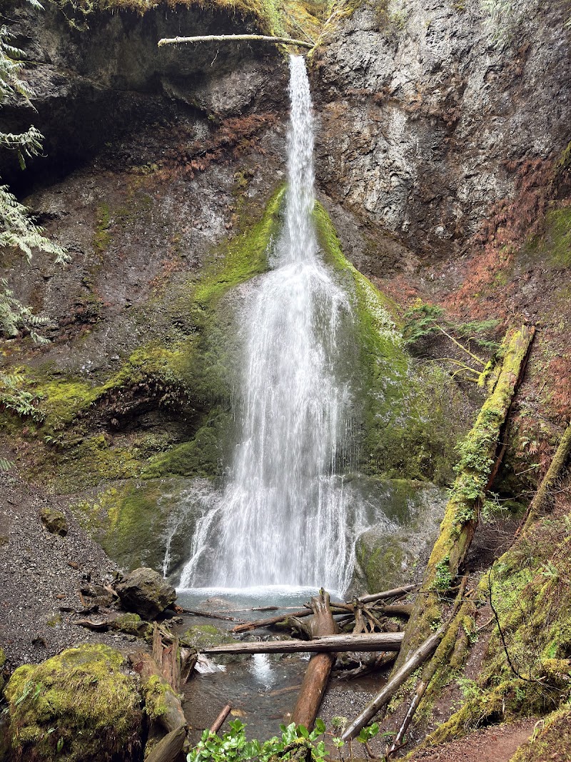 Photo 6 at Olympic National Park in Port Angeles