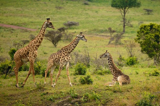 Arusha National Park in 