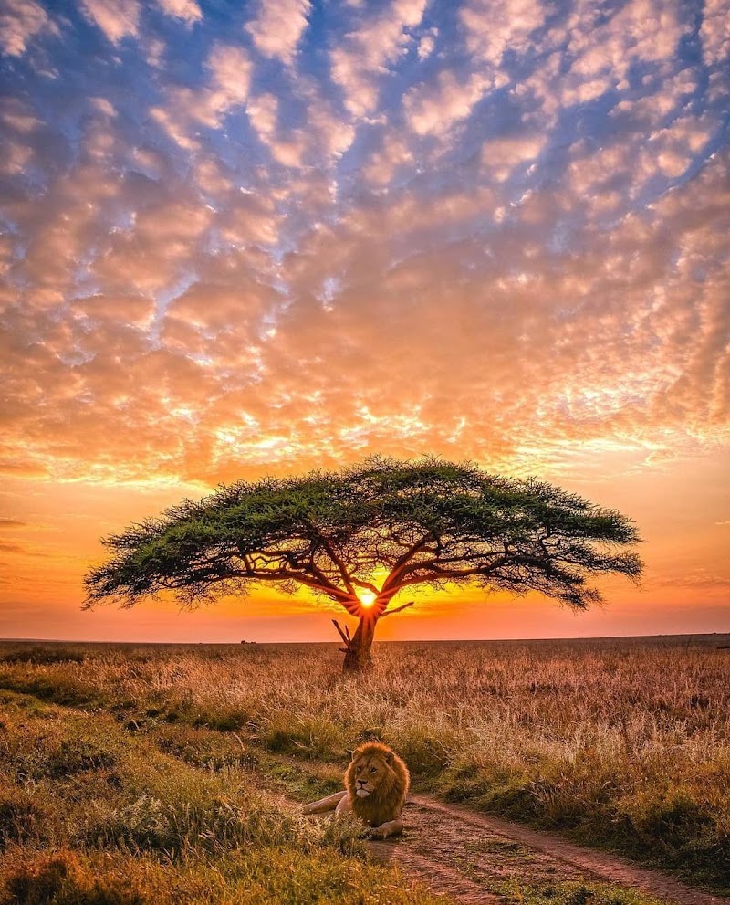 Photo 3 at Serengeti National Park in 