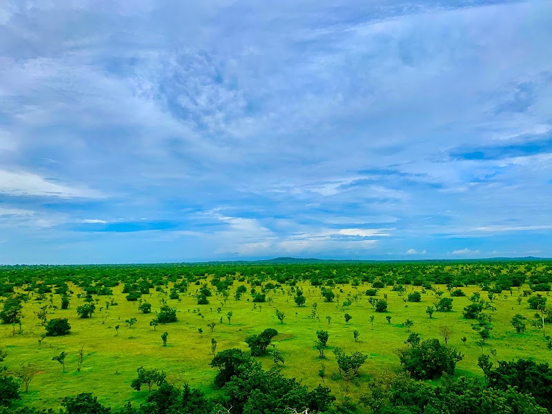 Shai-Hills Resource Reserves in Tema