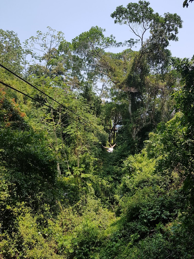 Photo 3 at Jungle Top Adventures Zipline in Coxen Hole