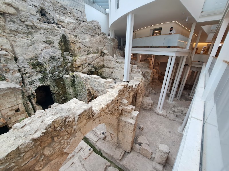 Photo 6 at הקרן למורשת הכותל המערבי | סיורי סליחות | סיורים לקבוצות | טיולים בירושלים | סיורי חנוכיות | בר מצווה | בת מצווה | חלאקה in Jerusalem