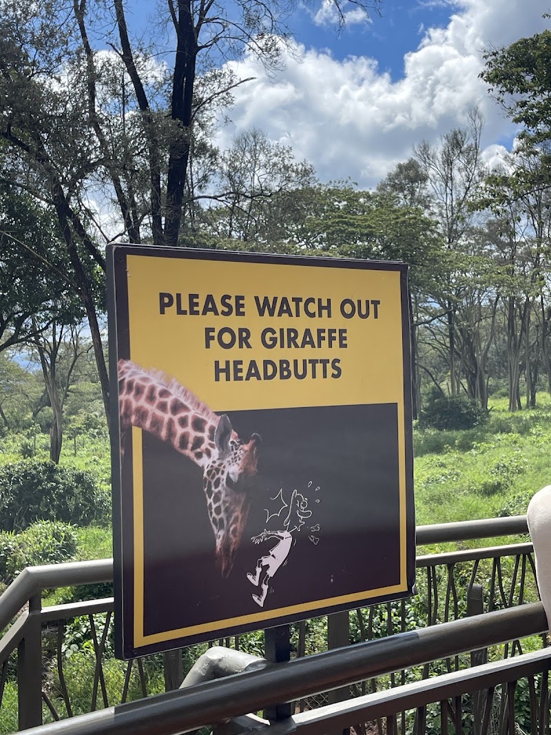 Photo 6 at Giraffe Centre in Nairobi