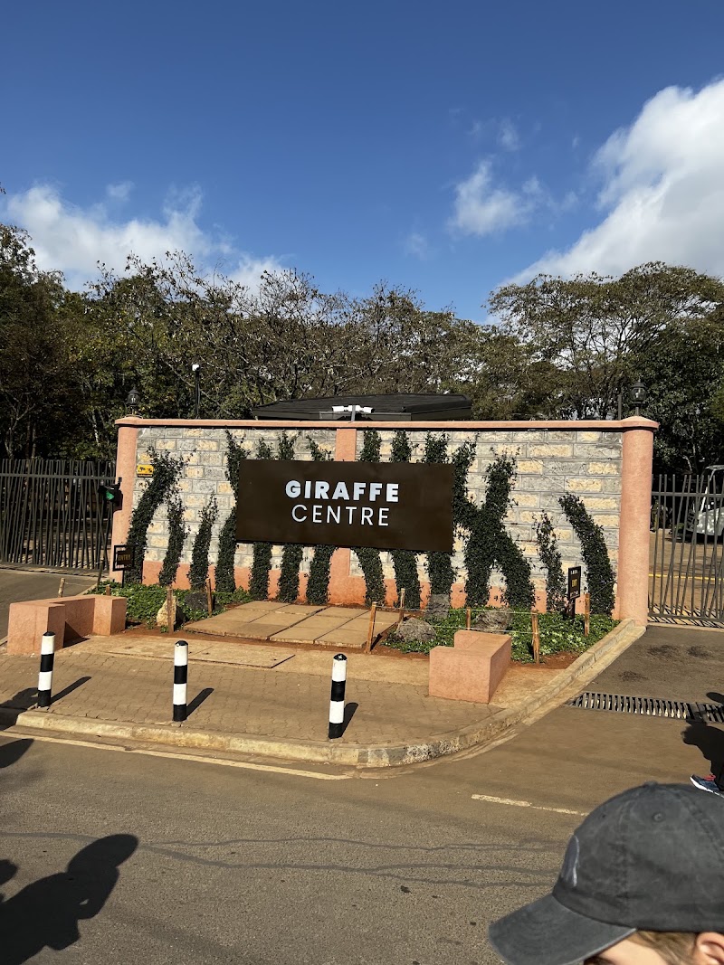 Photo 2 at Giraffe Centre in Nairobi