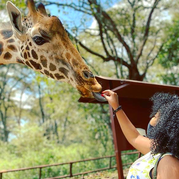 Photo 5 at Giraffe Centre in Nairobi