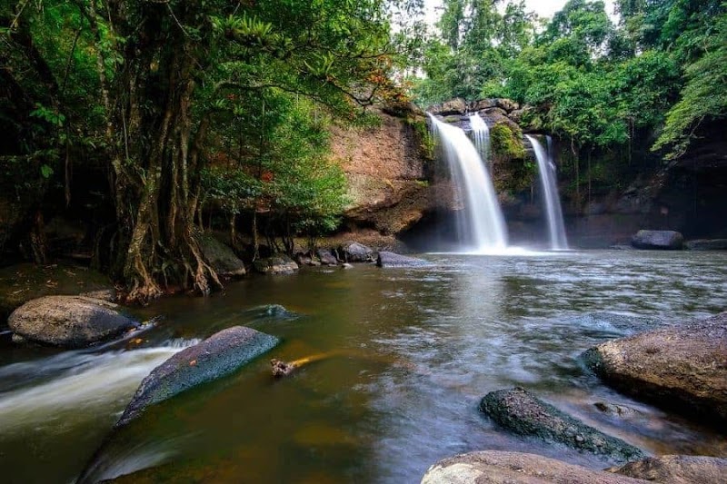 Photo 1 at Khao Yai National Park in 