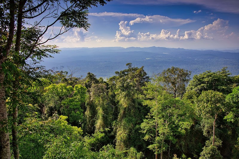 Photo 6 at Khao Yai National Park in 