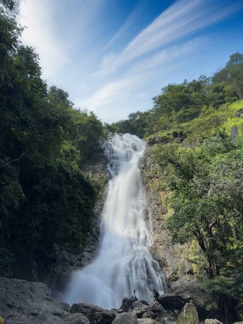 Photo 5 at Khao Yai National Park in 