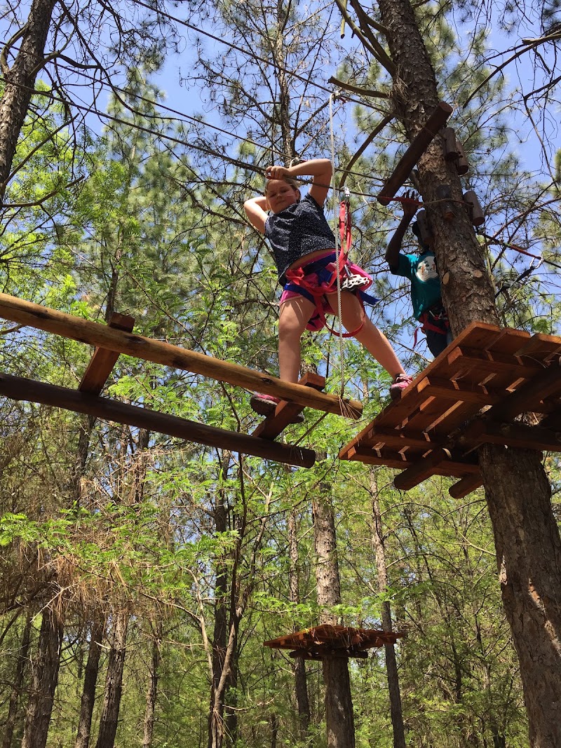 Photo 1 at Tree Top Adventures SA in Johannesburg