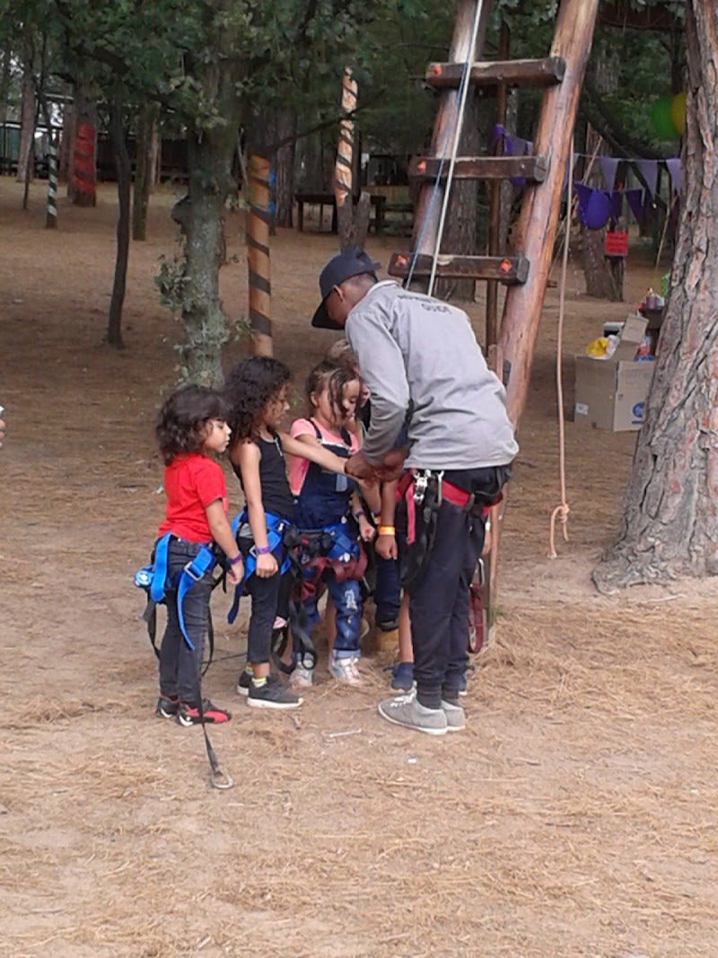 Photo 5 at Tree Top Adventures SA in Johannesburg