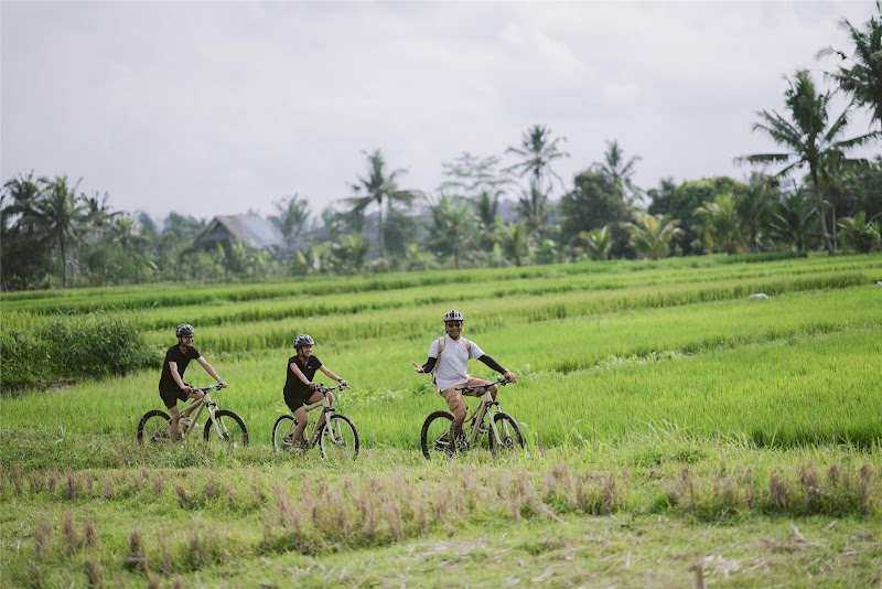 Photo 6 at Alila Ubud in Ubud
