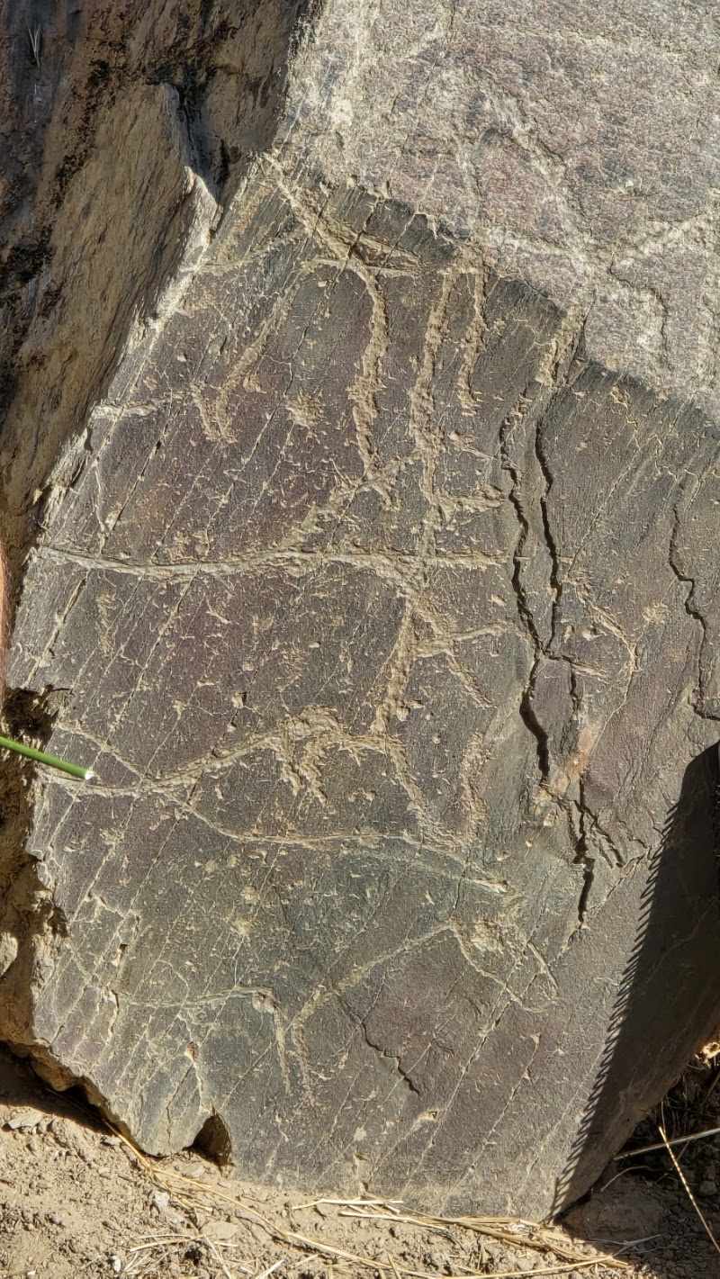 Photo 5 at Penascosa Prehistoric Rock-Art Site (UNESCO World Heritage) in Castelo Melhor