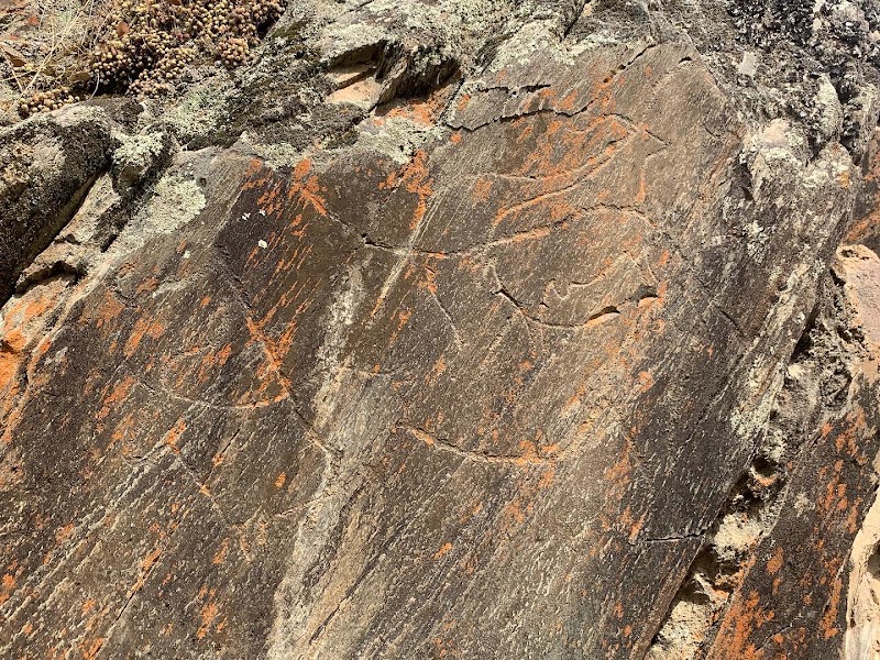 Photo 3 at Penascosa Prehistoric Rock-Art Site (UNESCO World Heritage) in Castelo Melhor