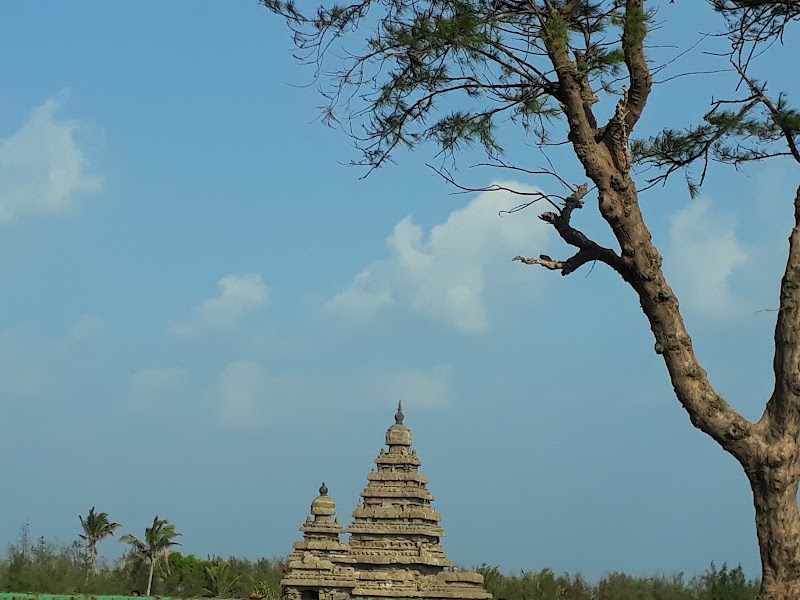 Photo 1 at Group of Monuments at Mahabalipuram in Mahabalipuram