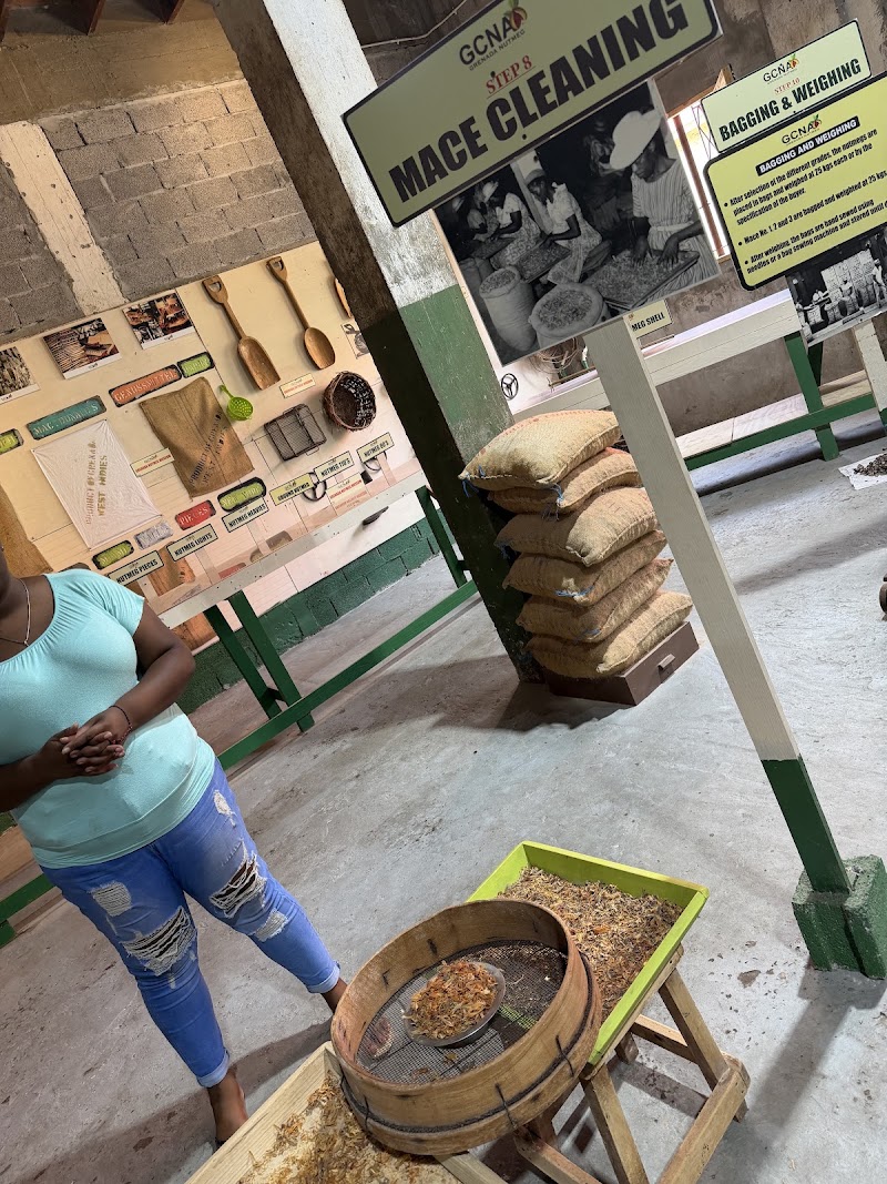 Photo 6 at Grenada Nutmeg Museum in Grenada