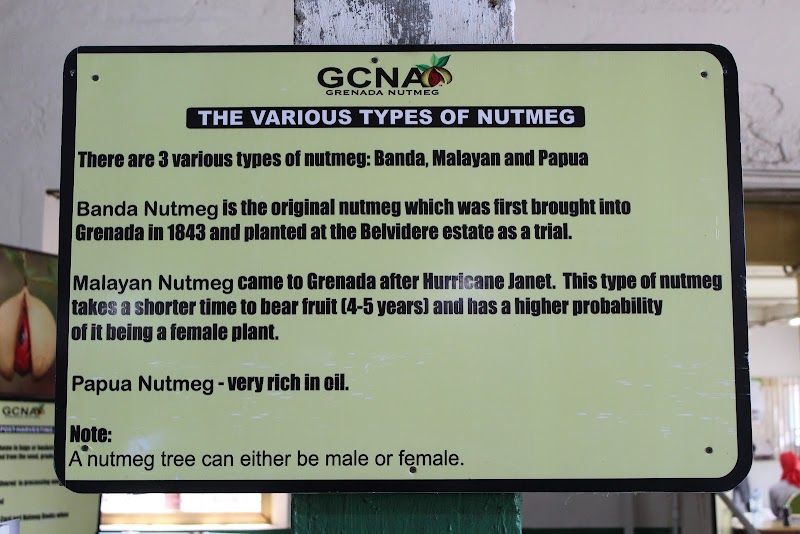 Grenada Nutmeg Museum in Grenada
