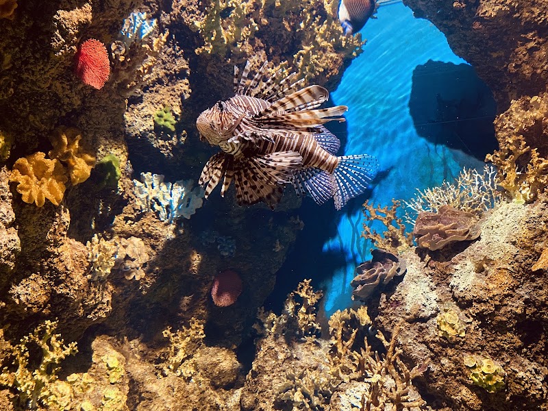Photo 2 at Malta National Aquarium in San Pawl il-Baħar