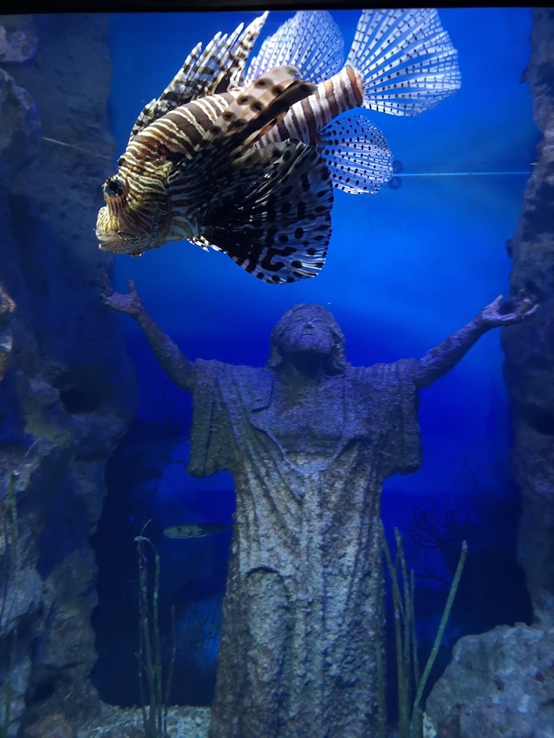 Photo 5 at Malta National Aquarium in San Pawl il-Baħar