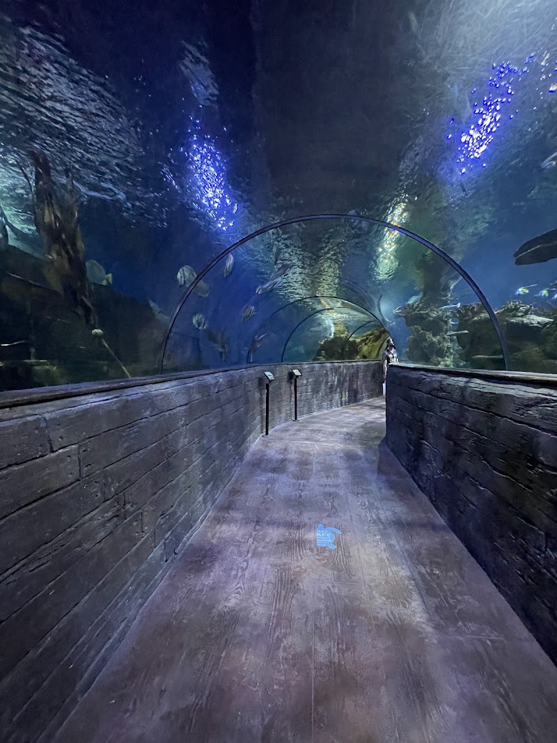 Photo 3 at Malta National Aquarium in San Pawl il-Baħar