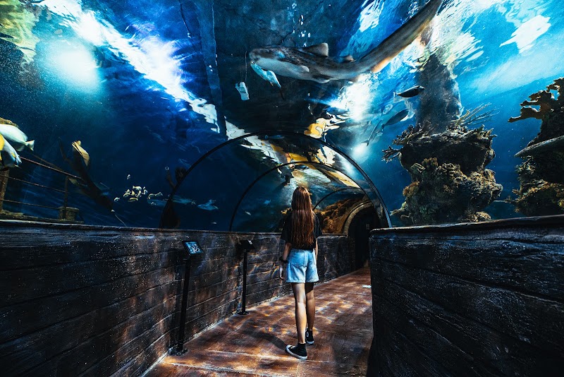 Malta National Aquarium in San Pawl il-Baħar