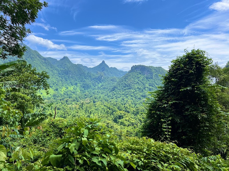 Photo 4 at Phong Nha - Ke Bang National Park in 