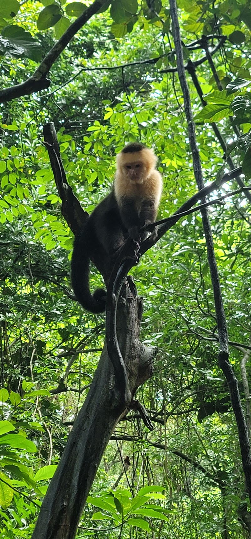 Photo 5 at Gumbalimba Park in West Bay