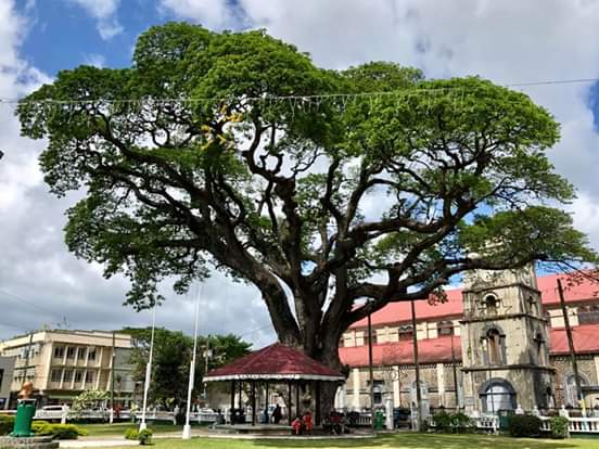 Photo 2 at Derek Walcott square in Castries