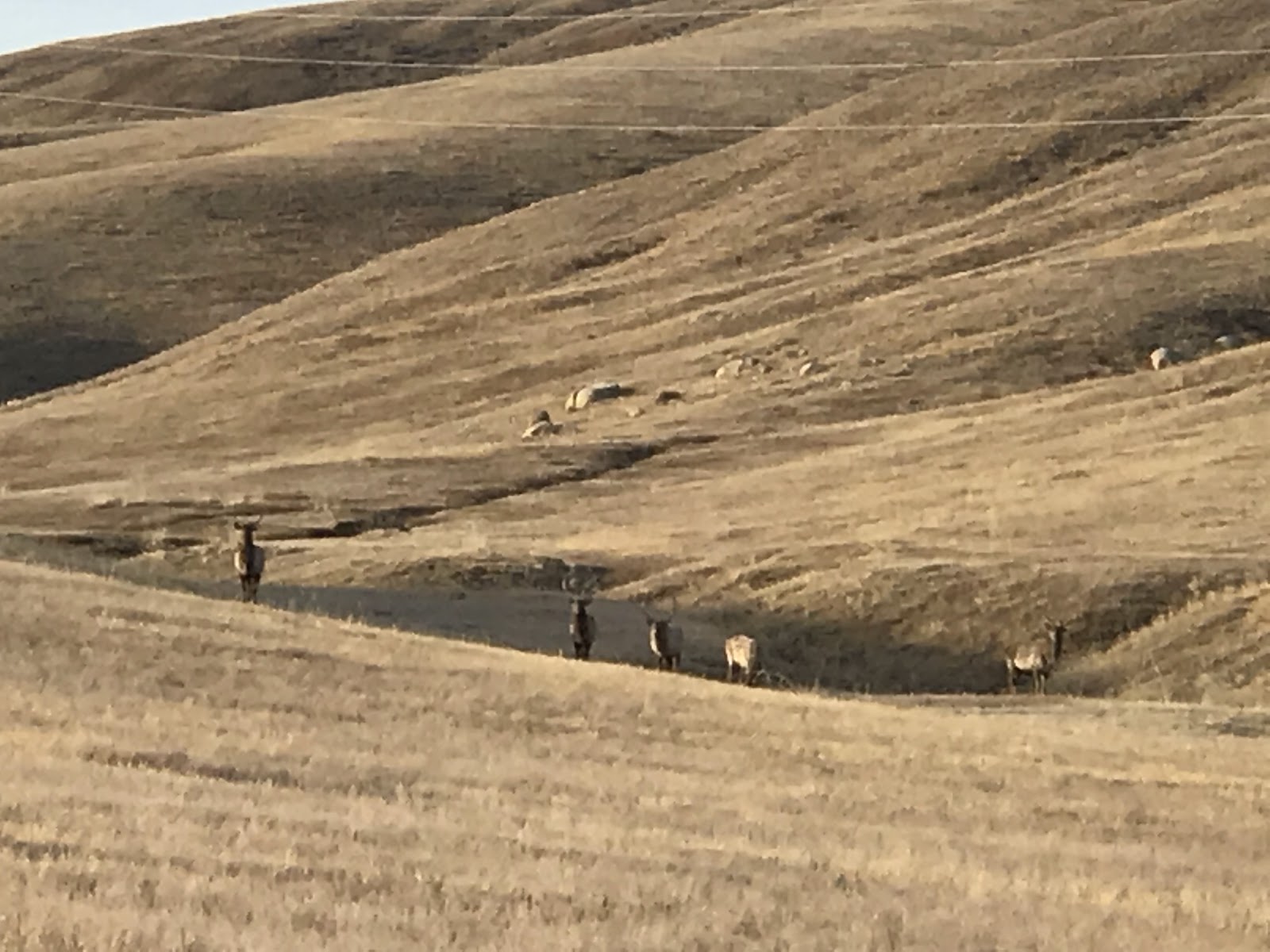 Khustain Nuruu National Park in Daaga Yarimiil Hiid