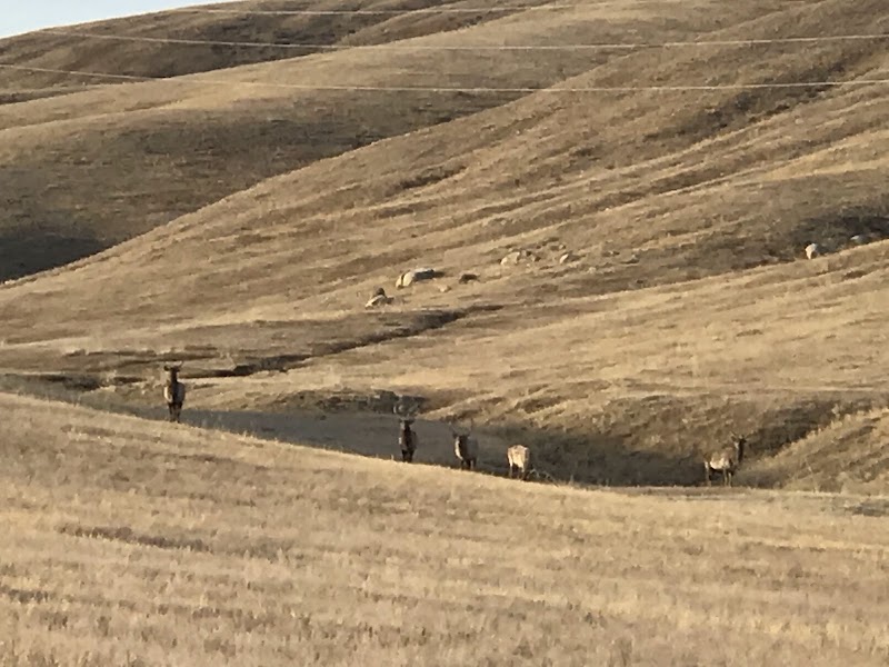 Khustain Nuruu National Park in Daaga Yarimiil Hiid