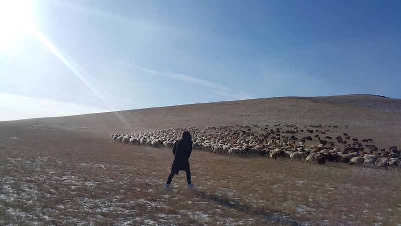 Photo 1 at Khustain Nuruu National Park in Daaga Yarimiil Hiid