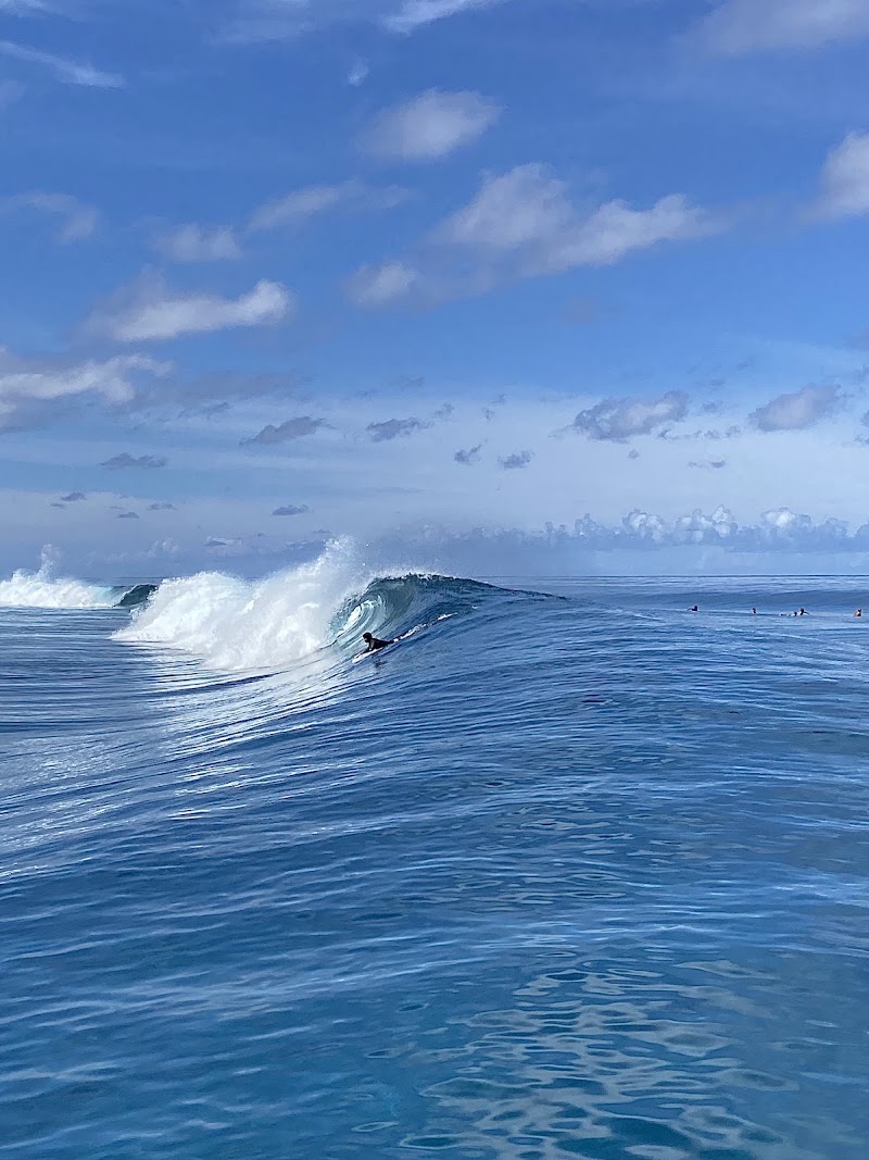 Photo 3 at Teahupoo tours and surf Adventures in TEAHUPOO