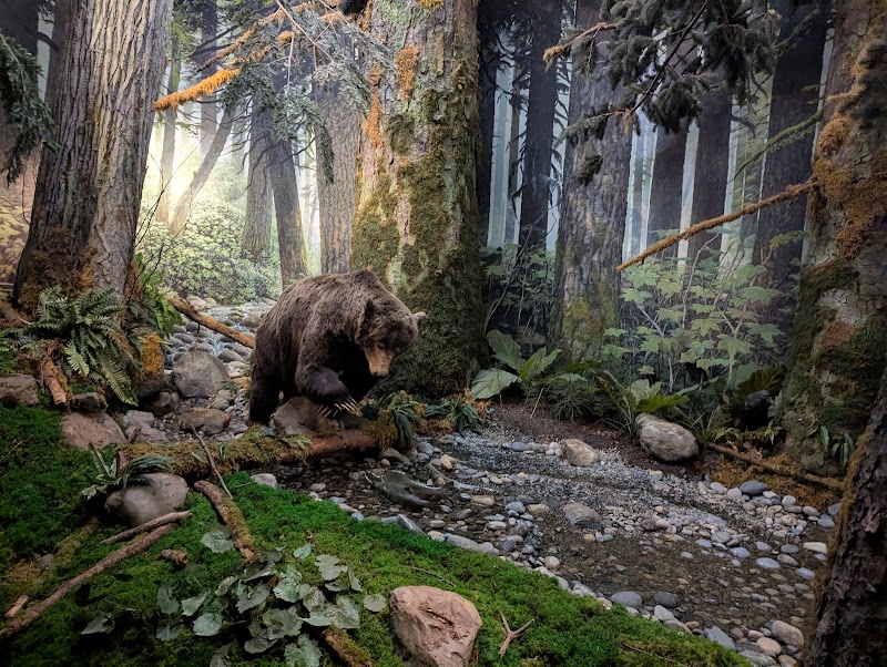 Photo 6 at Royal BC Museum in Victoria