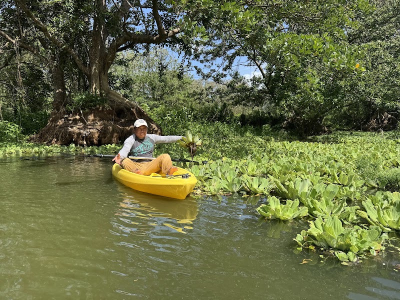Photo 3 at Kayak Tours Ometepe by Hector. in Mérida