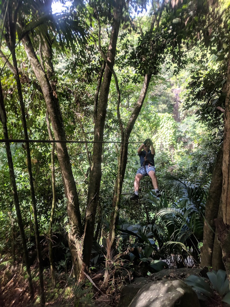 Zipline Place in 