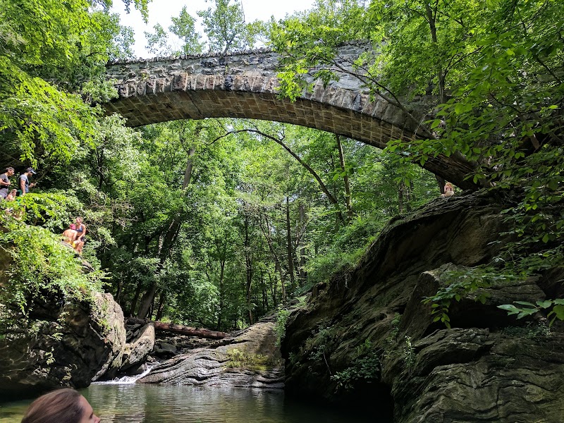 Photo 2 at Glen Fern in Philadelphia