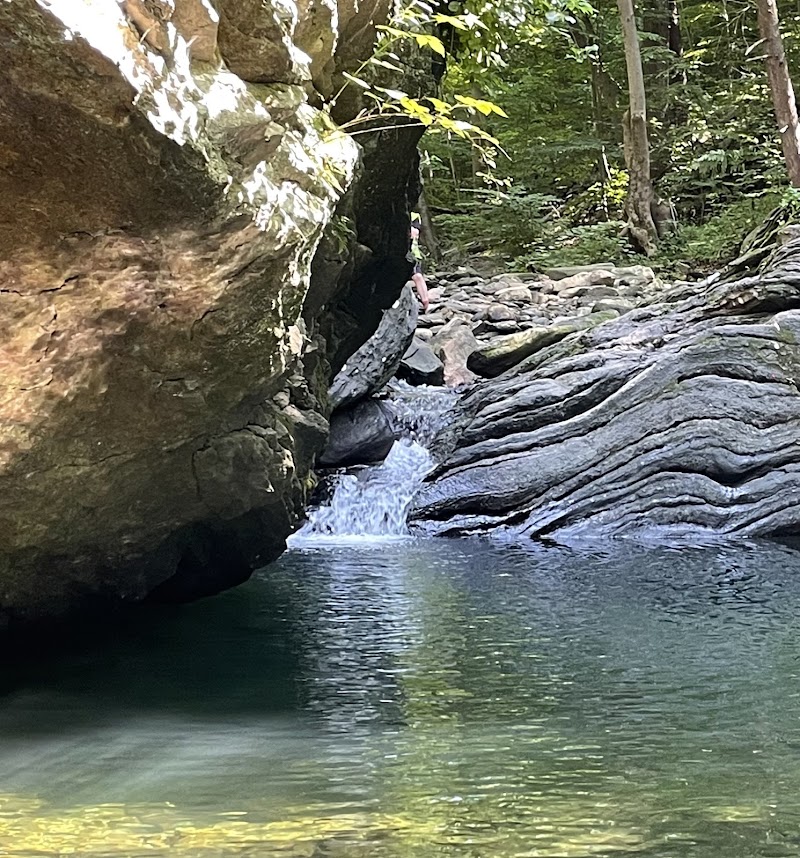 Photo 6 at Glen Fern in Philadelphia