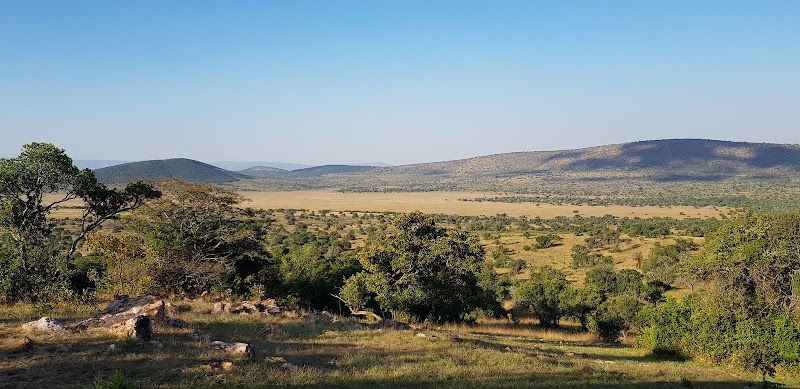 Photo 4 at Akagera National Park in 