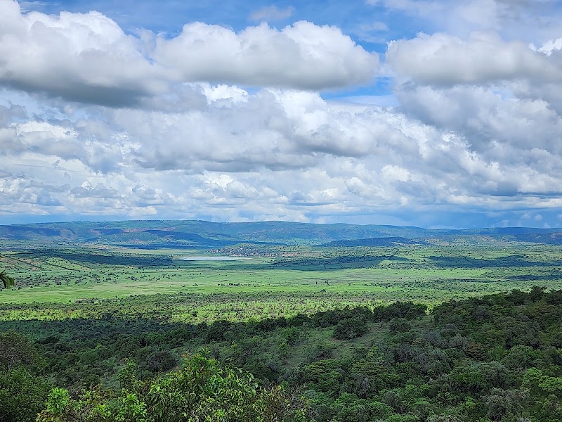 Photo 3 at Akagera National Park in 
