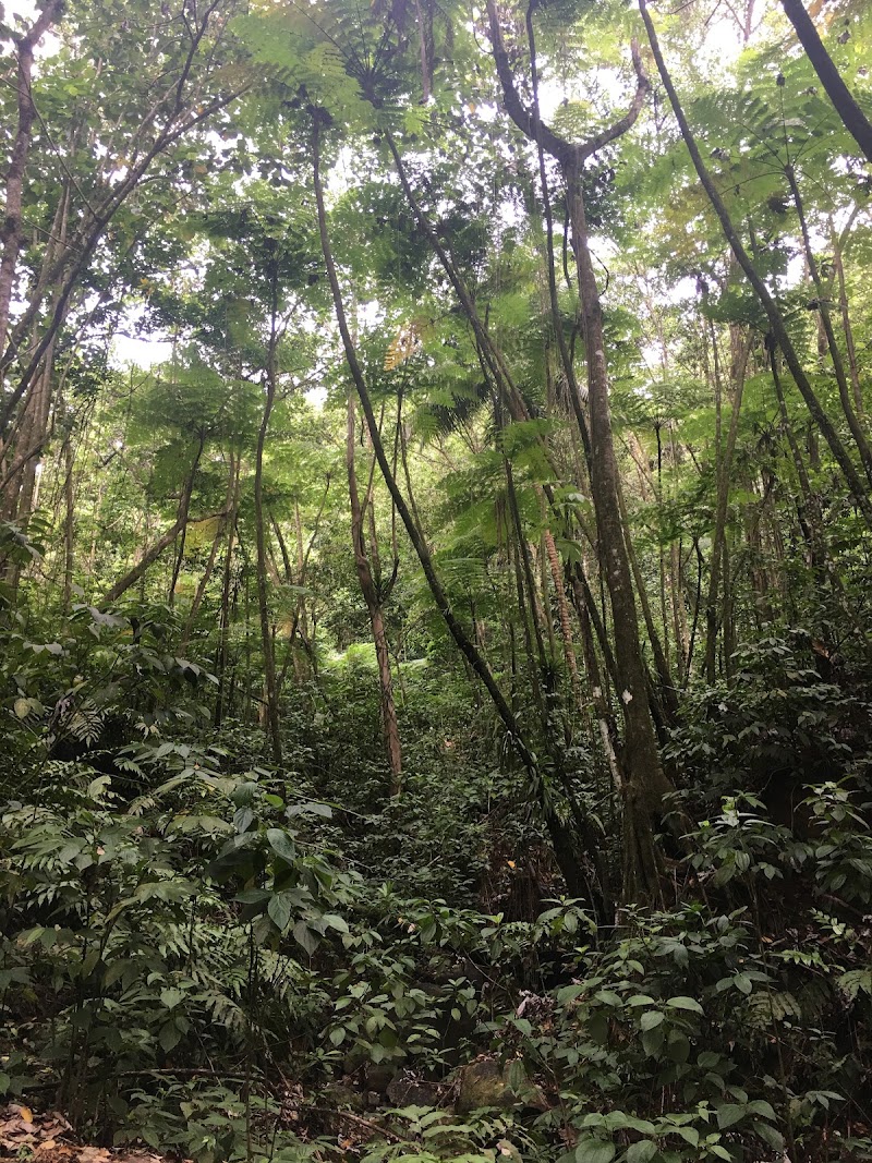 Millet Bird Sanctuary & Nature Trail in Millet