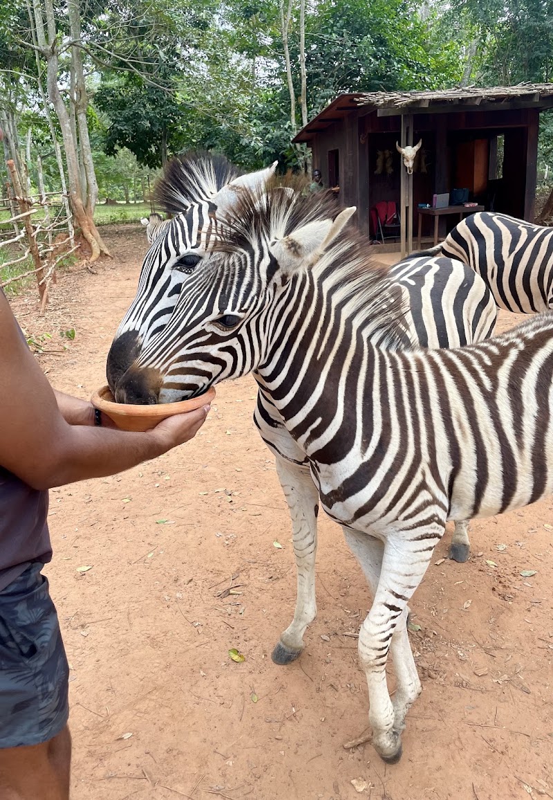 Photo 2 at NiiGhana in Accra