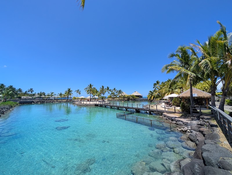Te Mana O Te Moana in Faaa