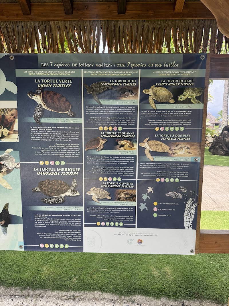 Photo 2 at Te Mana O Te Moana in Faaa