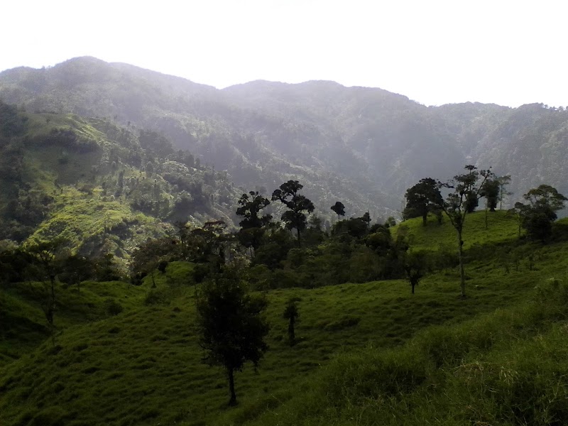 Photo 6 at Cusuco National Park in San Pedro Sula