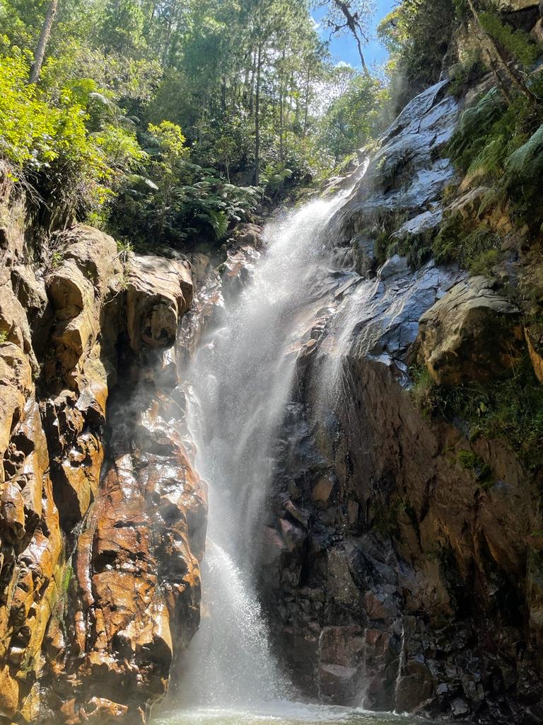 Photo 1 at Cusuco National Park in San Pedro Sula