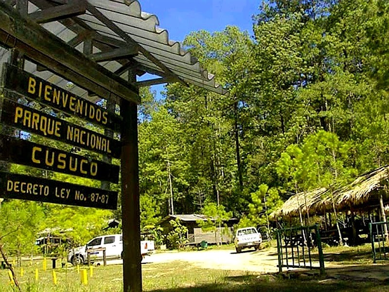 Cusuco National Park in San Pedro Sula