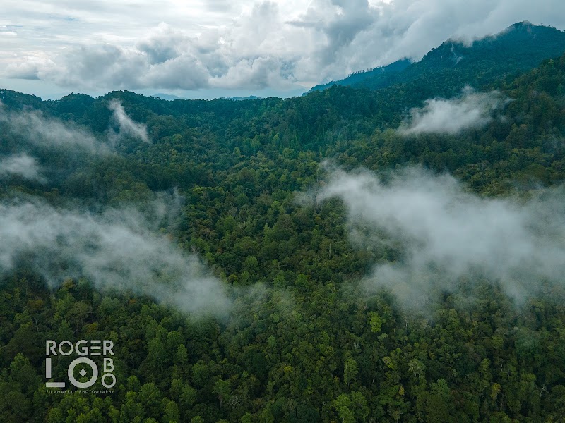 Photo 3 at Cusuco National Park in San Pedro Sula