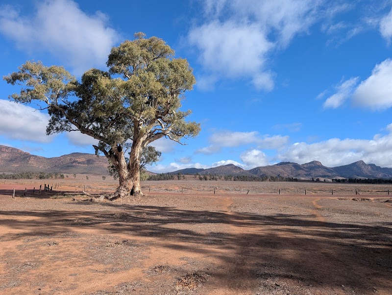 Photo 2 at Ikara-Flinders Ranges National Park in Blinman