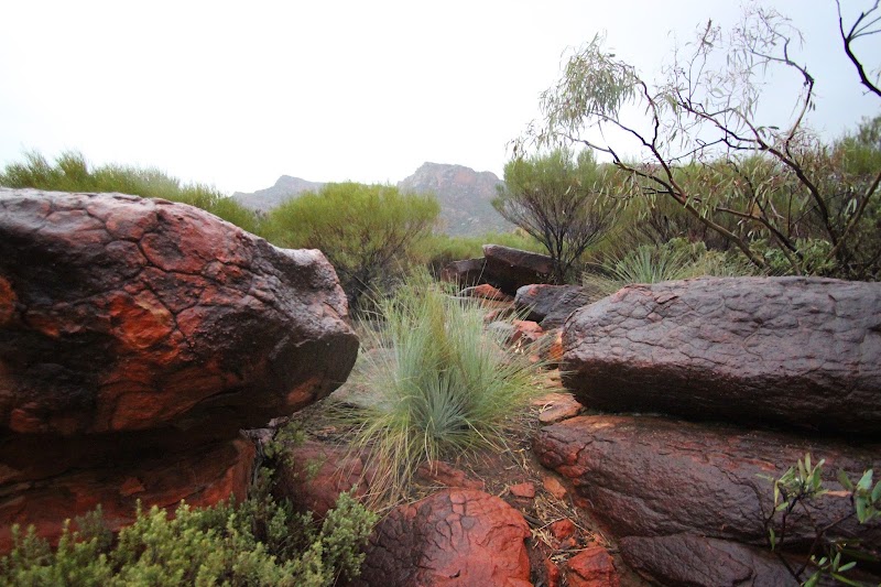 Ikara-Flinders Ranges National Park in Blinman